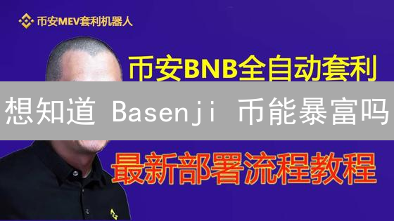 想知道 Basenji 币能暴富吗？看完你就懂！