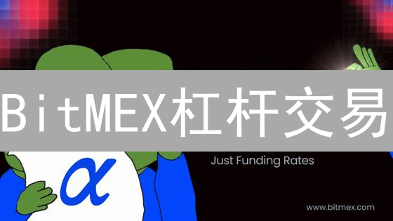 BitMEX杠杆交易：放大收益还是加速爆仓？新手必看！