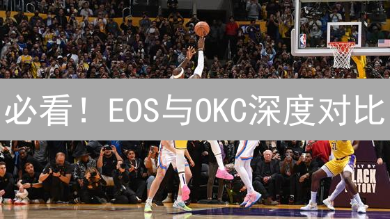 必看！EOS与OKC深度对比：稀缺性与机遇并存
